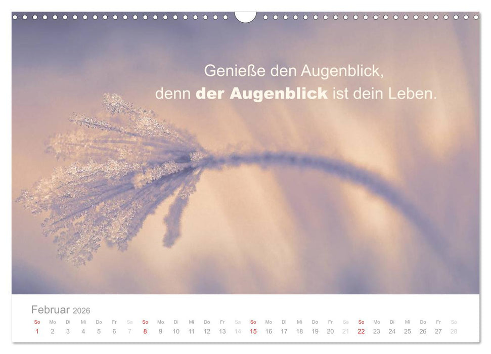 Zauberhafte Sprüche - Bunte Seelenblüten (CALVENDO Wandkalender 2026)
