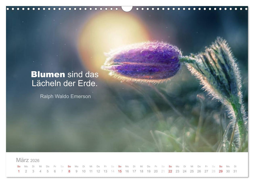 Zauberhafte Sprüche - Bunte Seelenblüten (CALVENDO Wandkalender 2026)
