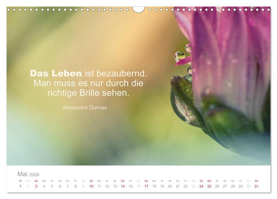 Zauberhafte Sprüche - Bunte Seelenblüten (CALVENDO Wandkalender 2026)