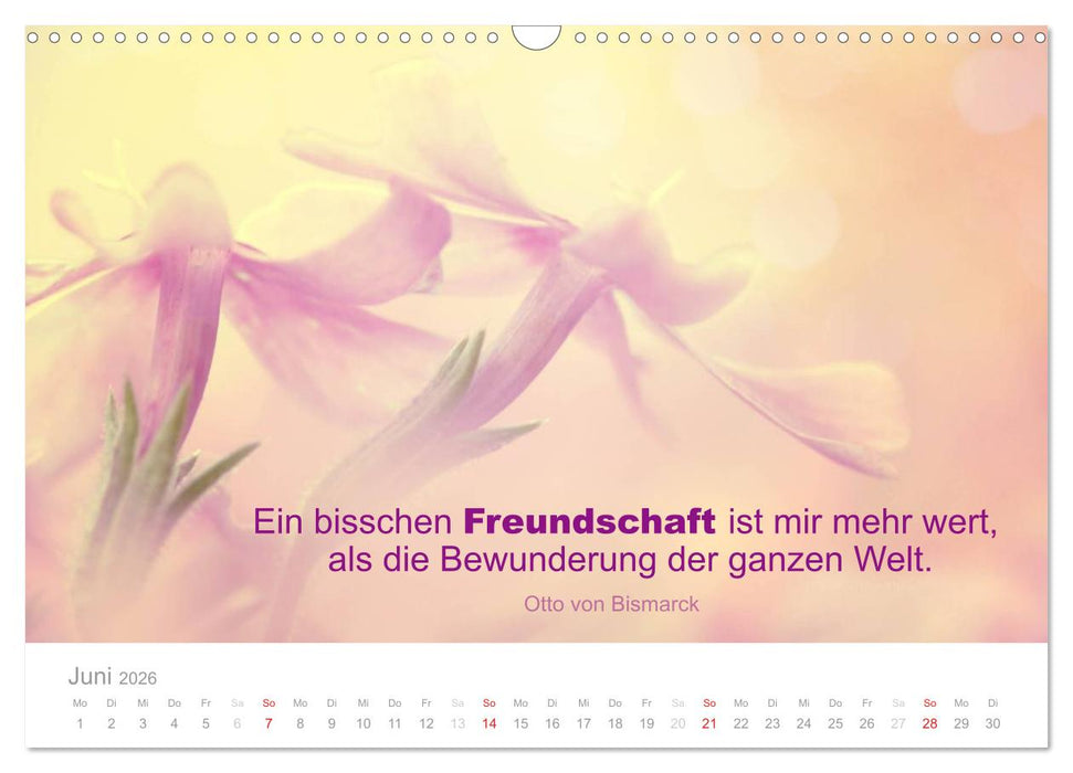 Zauberhafte Sprüche - Bunte Seelenblüten (CALVENDO Wandkalender 2026)
