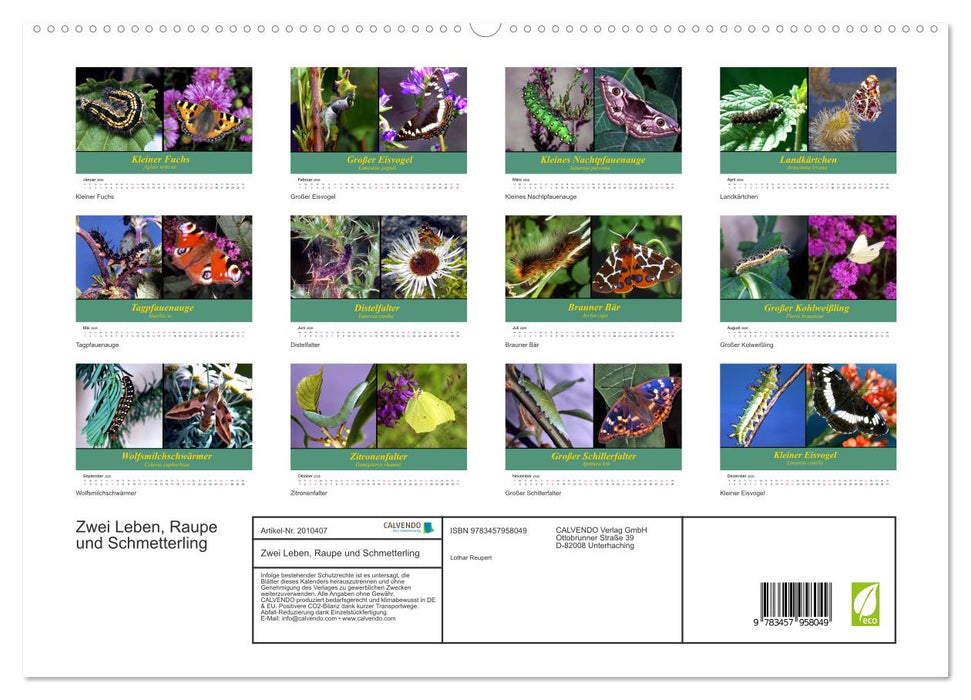 Zwei Leben, Raupe und Schmetterling (CALVENDO Premium Wandkalender 2026)