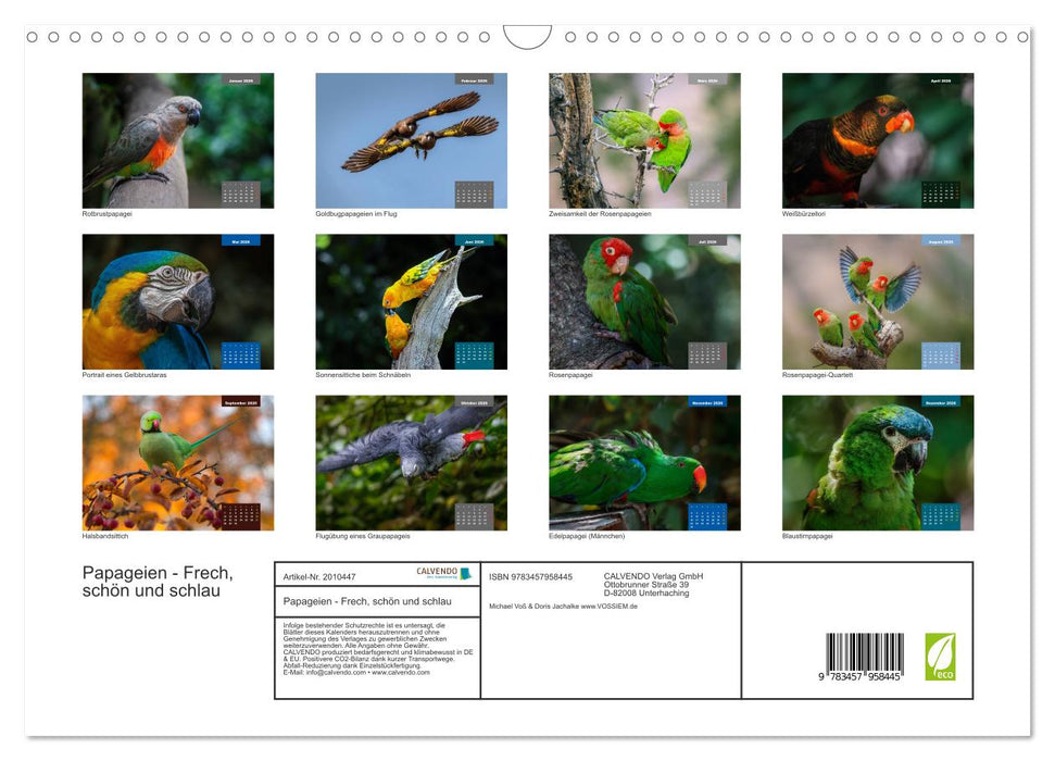 Papageien - Frech, schön und schlau (CALVENDO Wandkalender 2026)