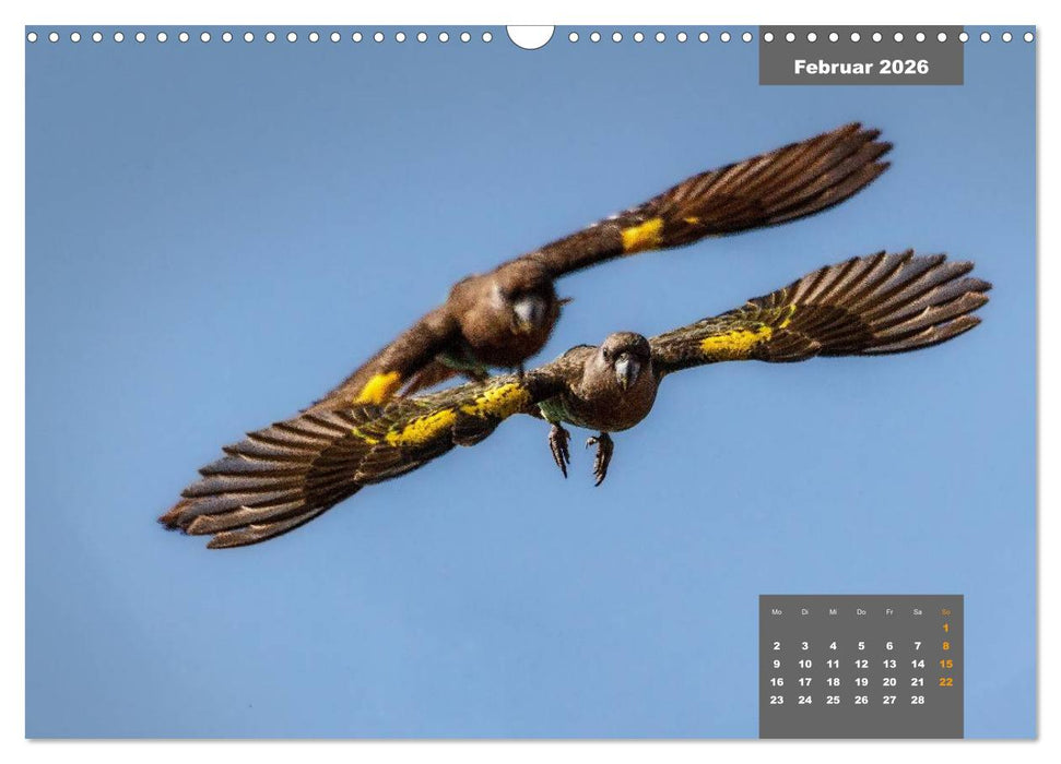 Papageien - Frech, schön und schlau (CALVENDO Wandkalender 2026)