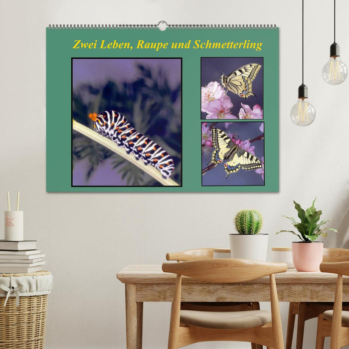 Zwei Leben, Raupe und Schmetterling (CALVENDO Wandkalender 2026)