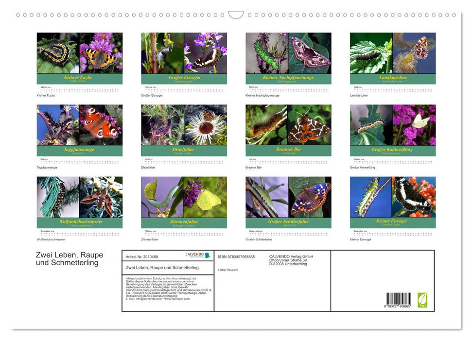 Zwei Leben, Raupe und Schmetterling (CALVENDO Wandkalender 2026)