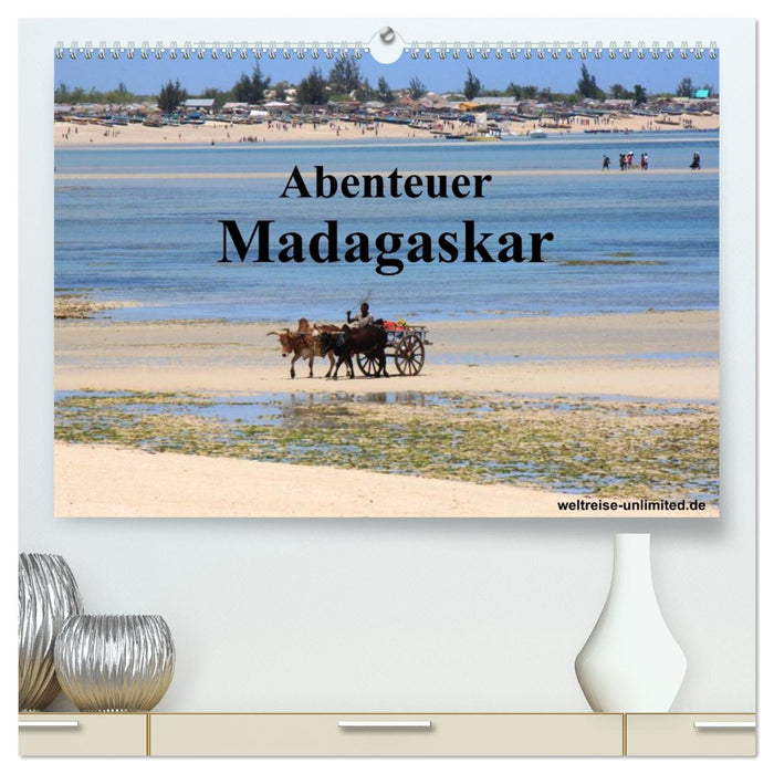 Abenteuer Madagaskar (CALVENDO Premium Wandkalender 2026)