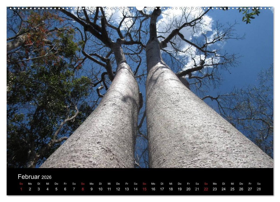 Abenteuer Madagaskar (CALVENDO Premium Wandkalender 2026)