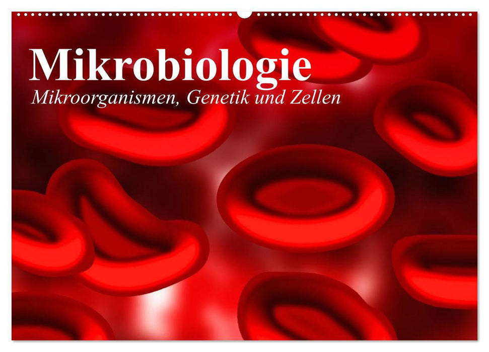 Mikrobiologie. Mikroorganismen, Genetik und Zellen (CALVENDO Wandkalender 2026)