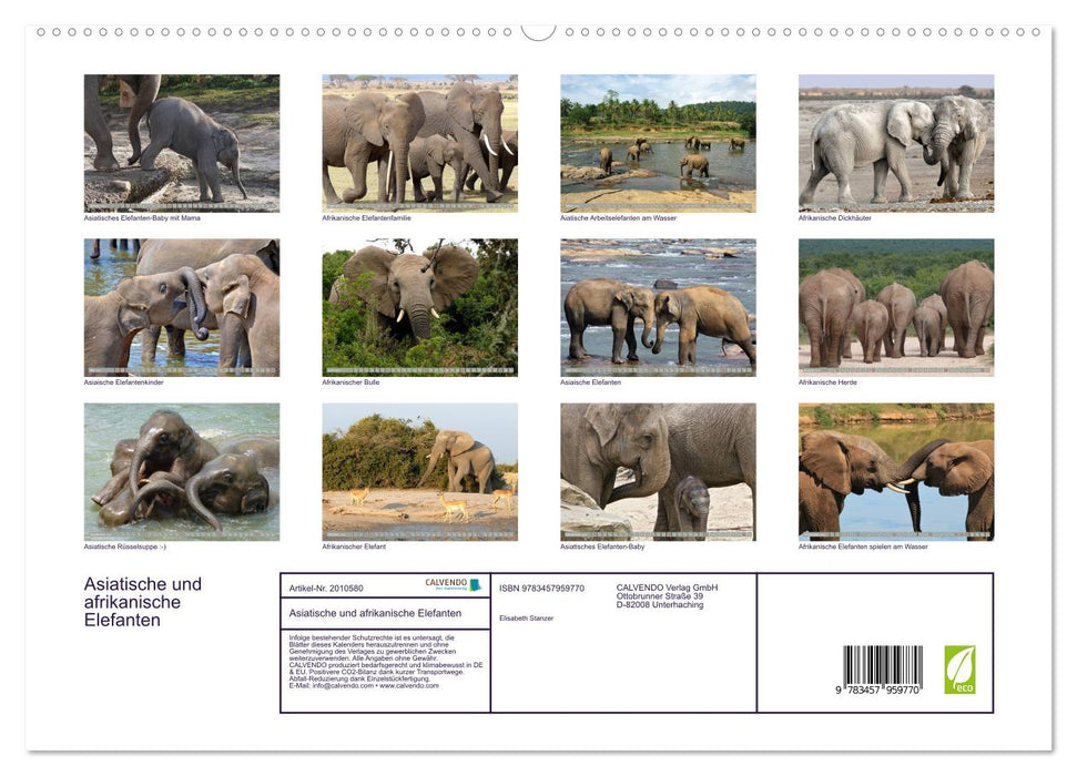 Asiatische und afrikanische Elefanten (CALVENDO Premium Wandkalender 2026)