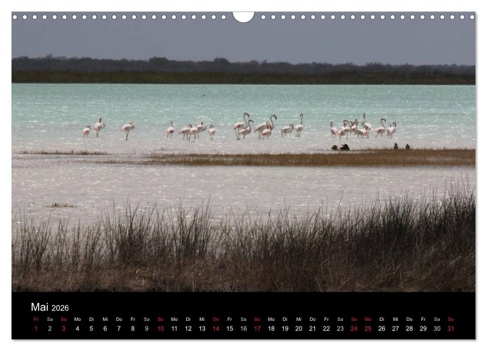 Abenteuer Madagaskar (CALVENDO Wandkalender 2026)