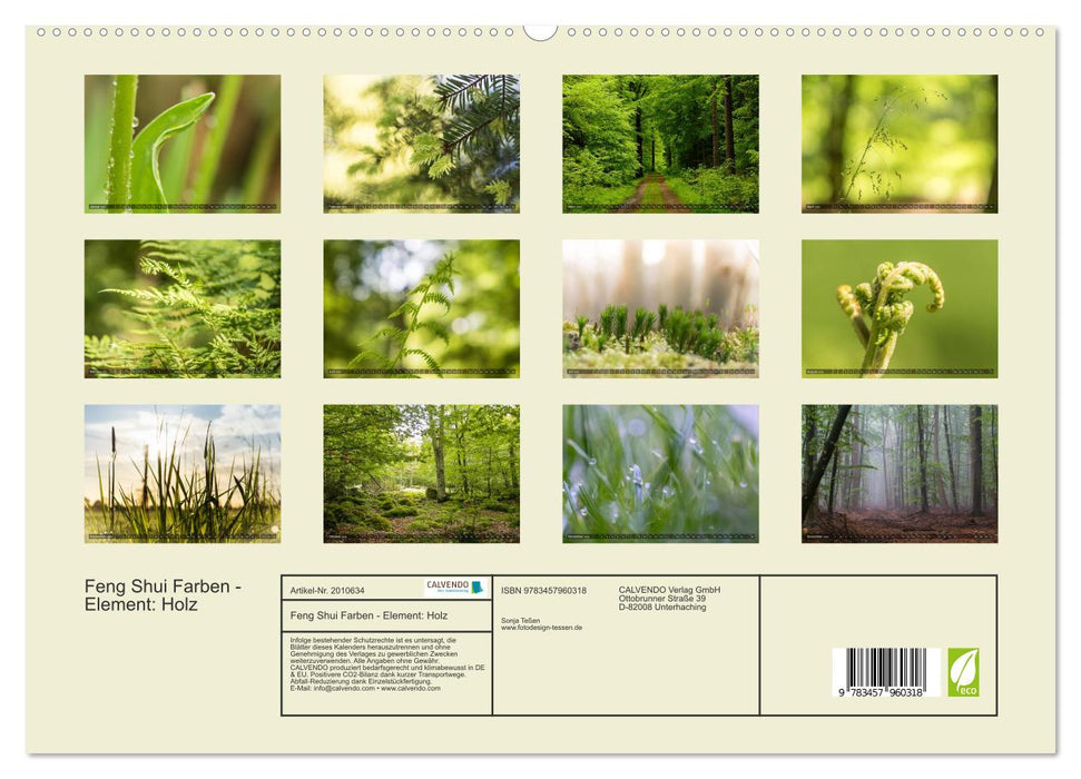 Feng Shui Farben - Element: Holz (CALVENDO Premium Wandkalender 2026)