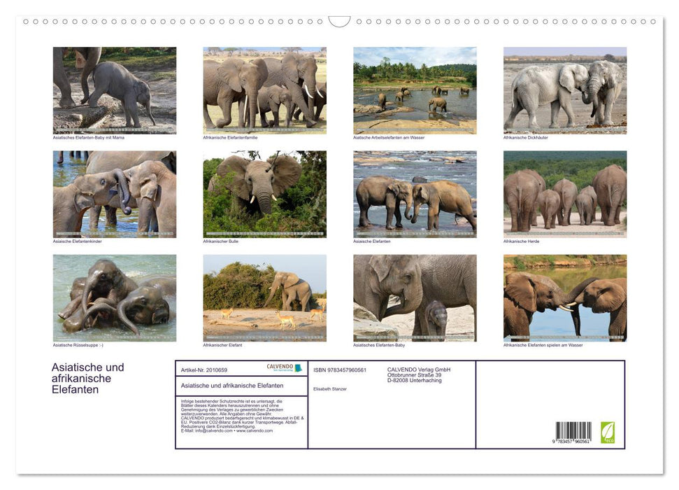 Asiatische und afrikanische Elefanten (CALVENDO Wandkalender 2026)