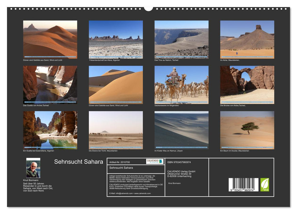 Sehnsucht Sahara (CALVENDO Premium Wandkalender 2026)
