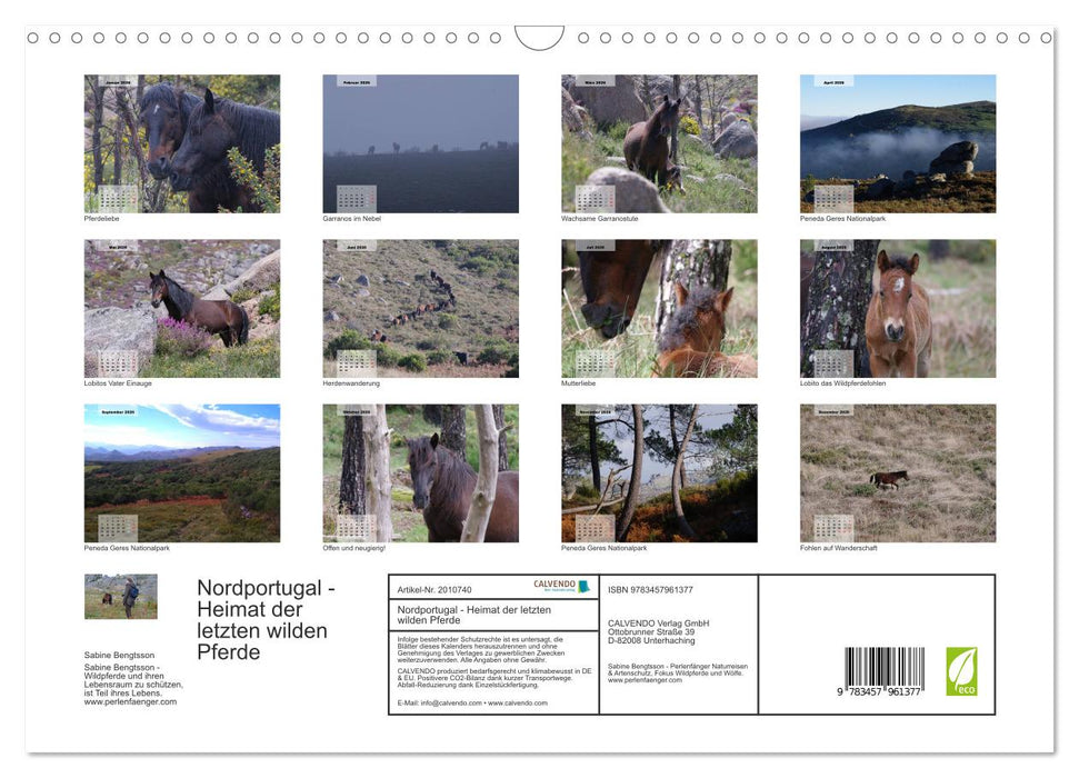 Nordportugal - Heimat der letzten wilden Pferde (CALVENDO Wandkalender 2026)