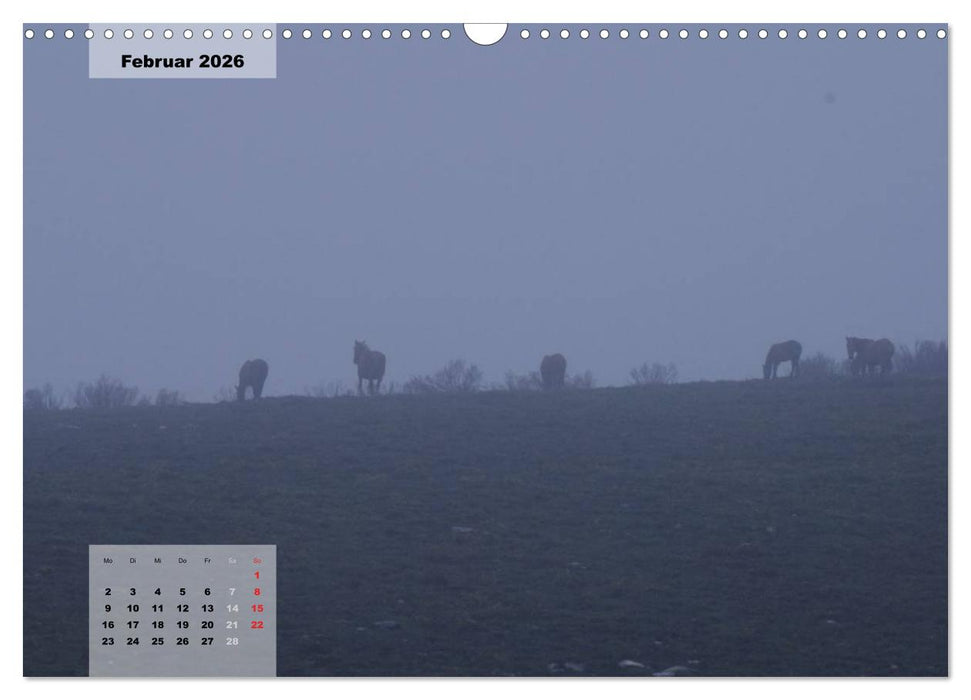 Nordportugal - Heimat der letzten wilden Pferde (CALVENDO Wandkalender 2026)
