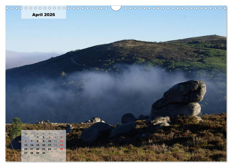 Nordportugal - Heimat der letzten wilden Pferde (CALVENDO Wandkalender 2026)