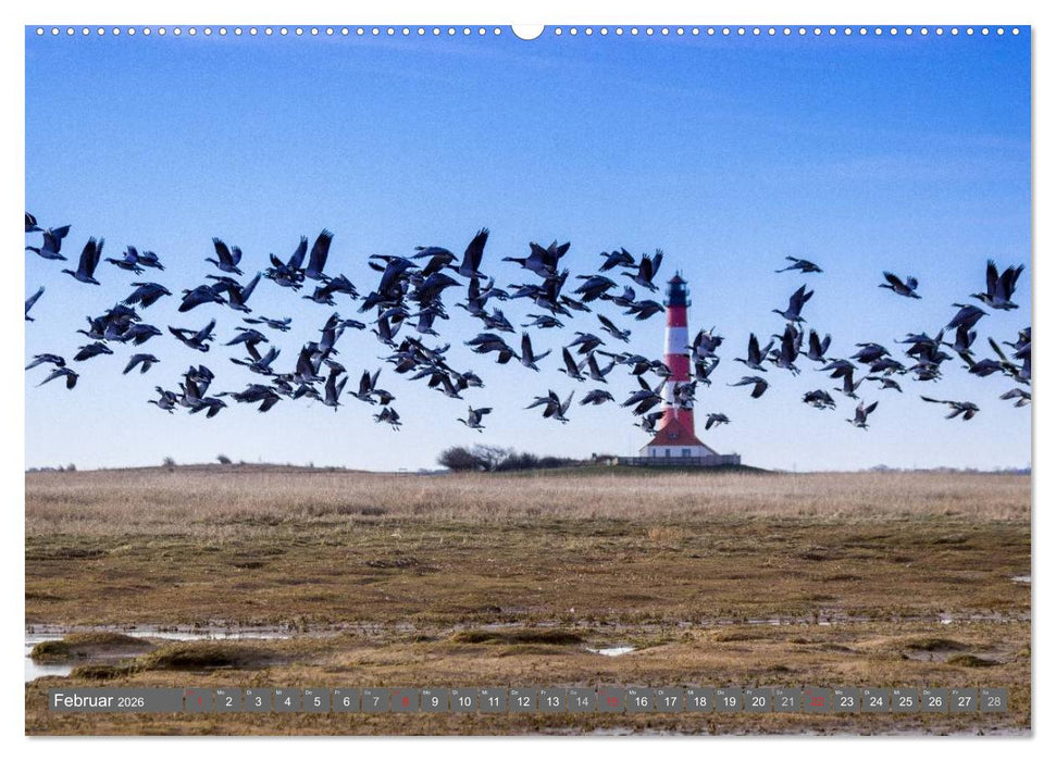 Wegweiser der Meere (CALVENDO Premium Wandkalender 2026)