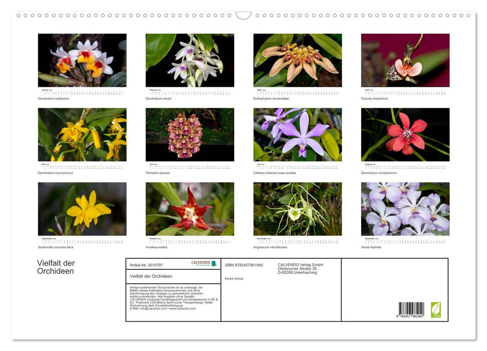 Vielfalt der Orchideen (CALVENDO Wandkalender 2026)