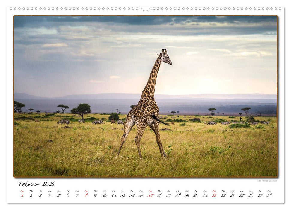 Abenteuer Masai Mara (CALVENDO Premium Wandkalender 2026)
