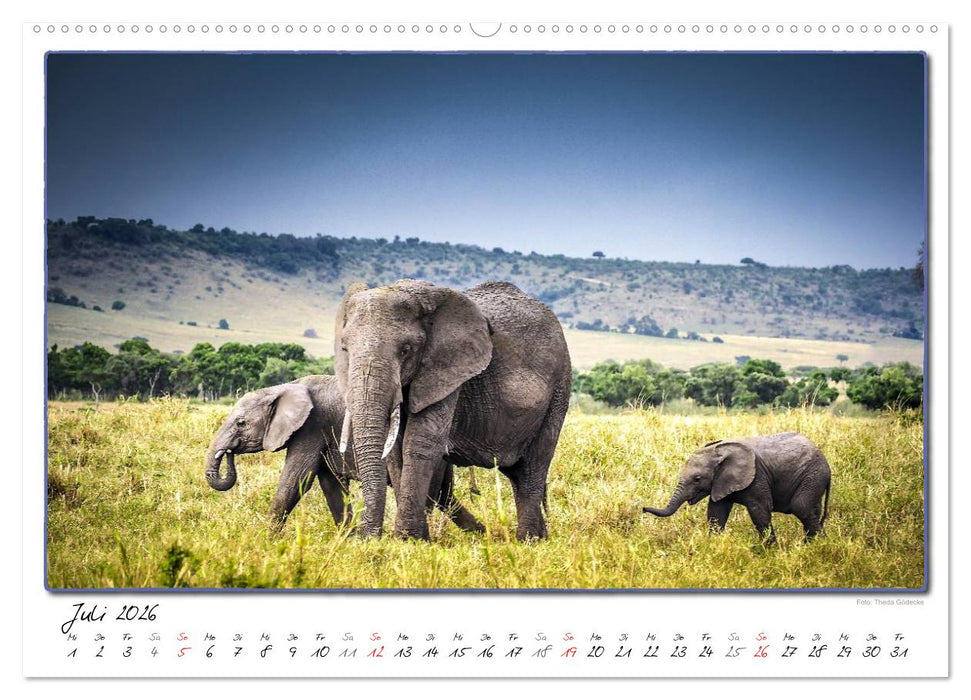 Abenteuer Masai Mara (CALVENDO Premium Wandkalender 2026)