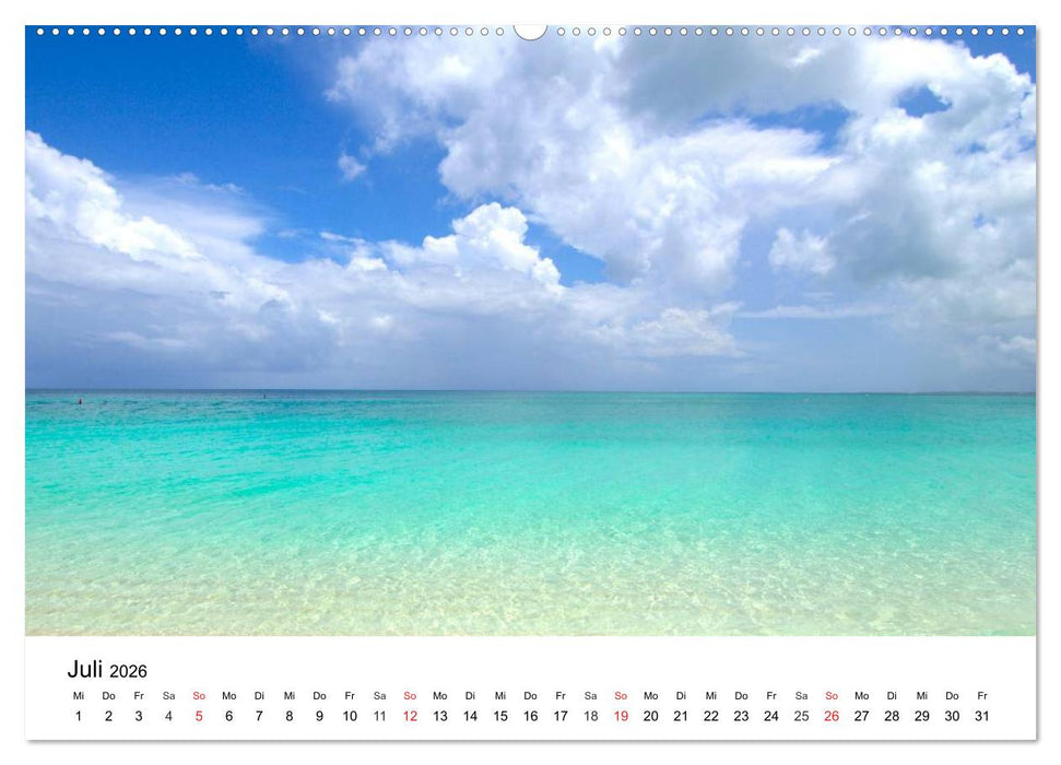 Traumstrände in der Karibik (CALVENDO Premium Wandkalender 2026)