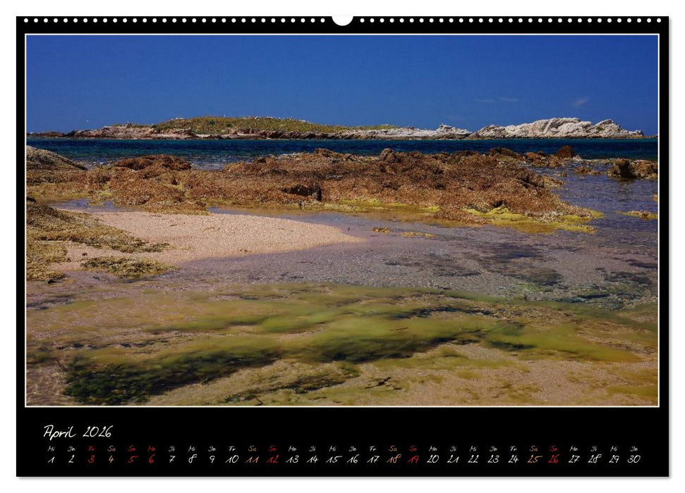 Korsika - Insel rauer Schönheit (CALVENDO Premium Wandkalender 2026)