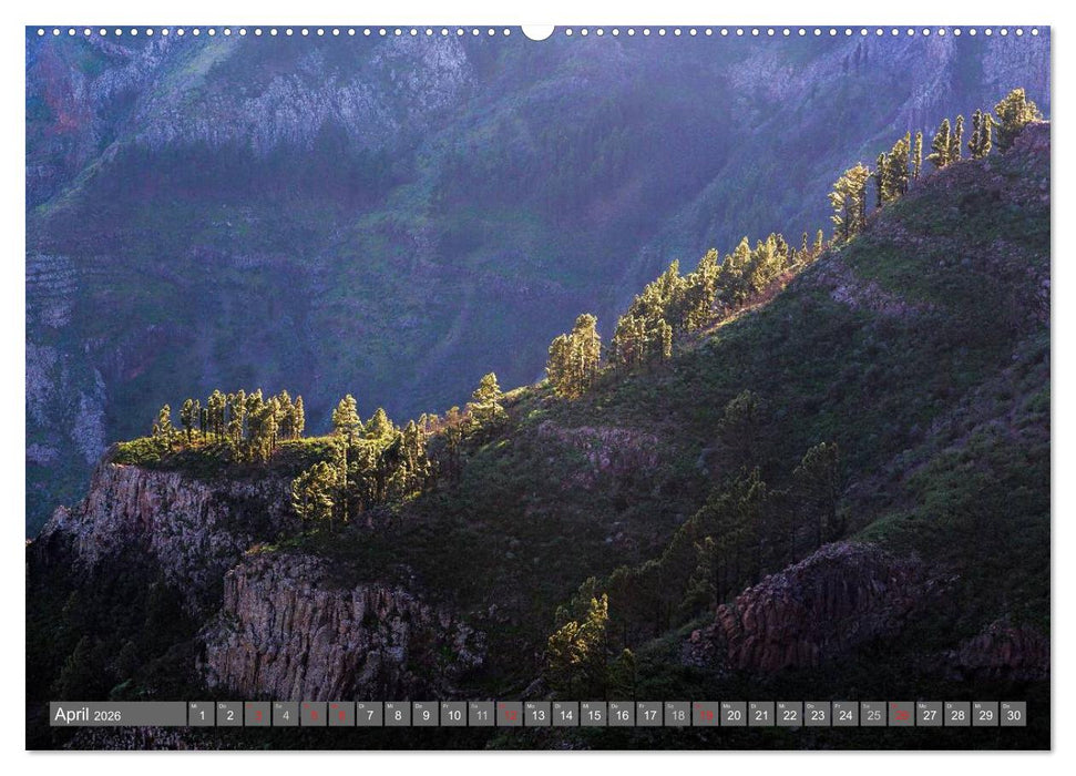 La Gomera Sonne, Meer und Vulkane (CALVENDO Wandkalender 2026)