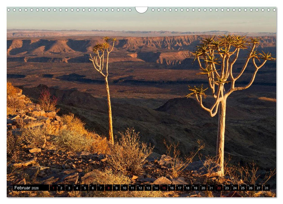 Afrikas Bäume (CALVENDO Wandkalender 2026)