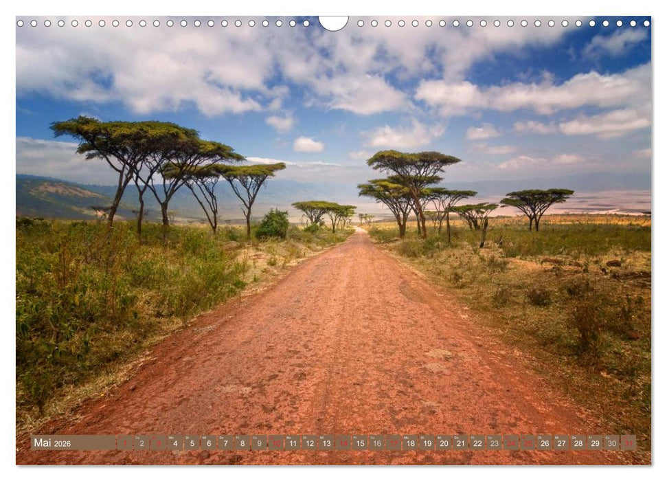 Afrikas Bäume (CALVENDO Wandkalender 2026)