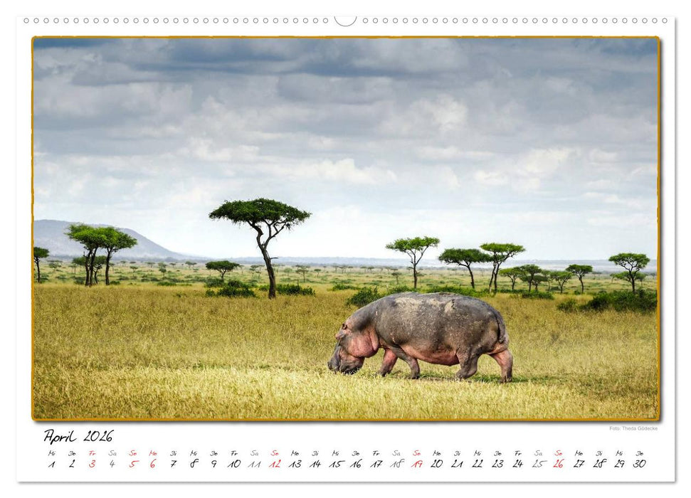 Abenteuer Masai Mara (CALVENDO Wandkalender 2026)