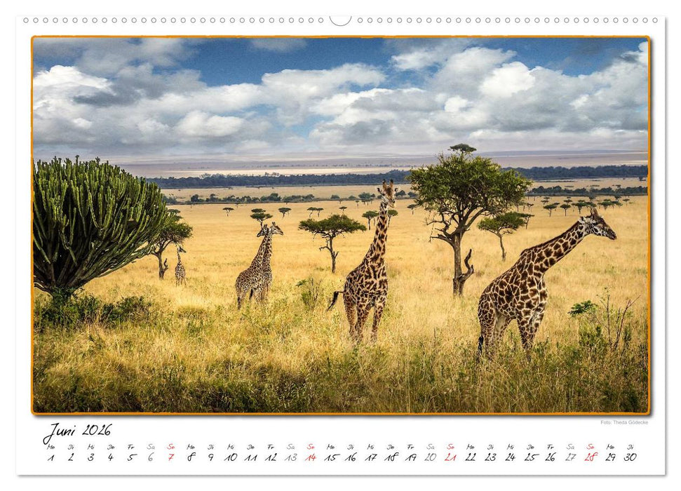 Abenteuer Masai Mara (CALVENDO Wandkalender 2026)