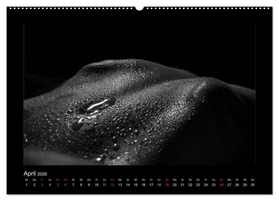 Erotische Körper (CALVENDO Wandkalender 2026)