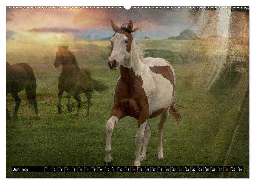 Western-Feeling (CALVENDO Premium Wandkalender 2026)