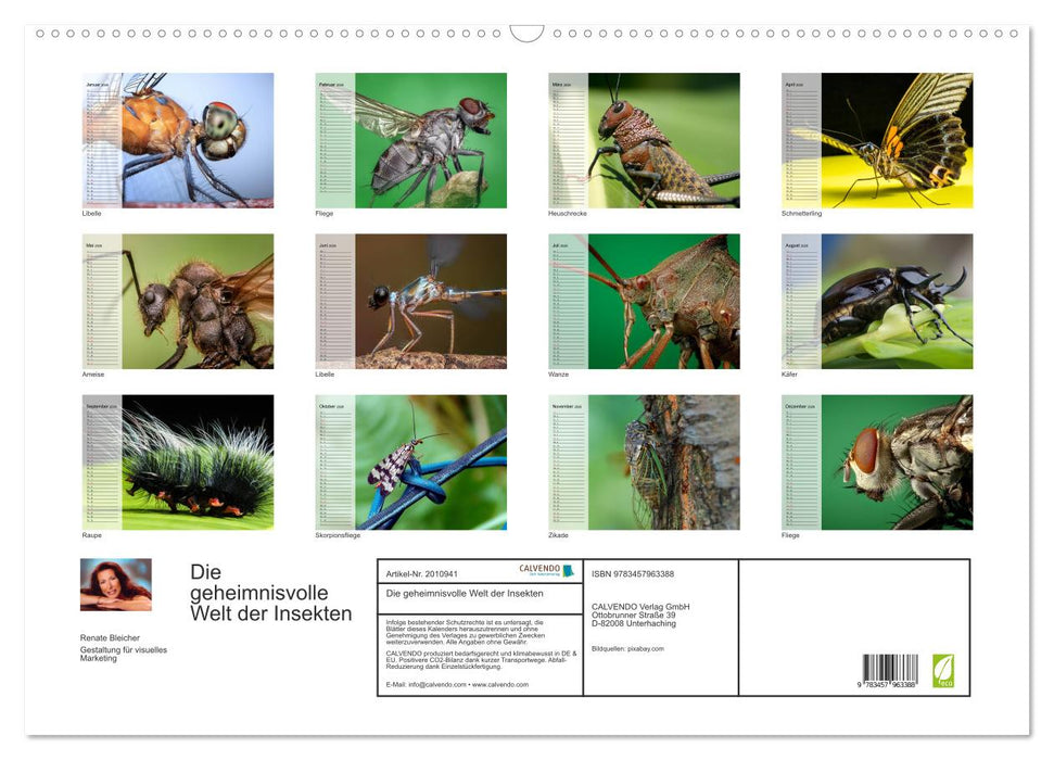 Die geheimnisvolle Welt der Insekten (CALVENDO Wandkalender 2026)