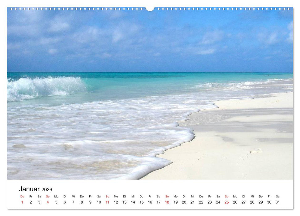 Traumstrände in der Karibik (CALVENDO Wandkalender 2026)