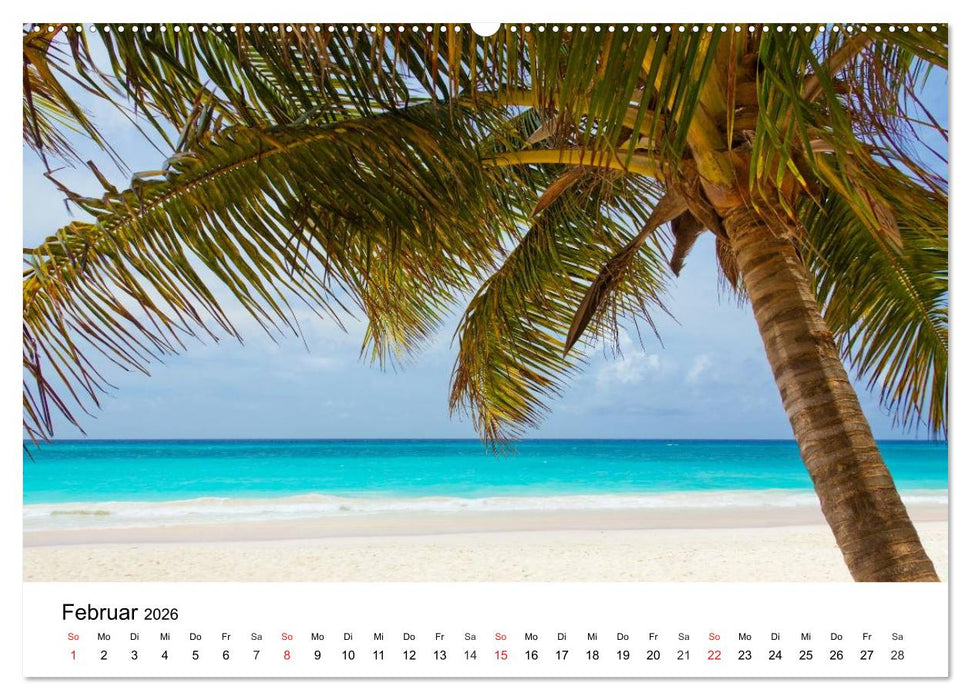 Traumstrände in der Karibik (CALVENDO Wandkalender 2026)