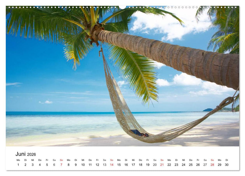 Traumstrände in der Karibik (CALVENDO Wandkalender 2026)