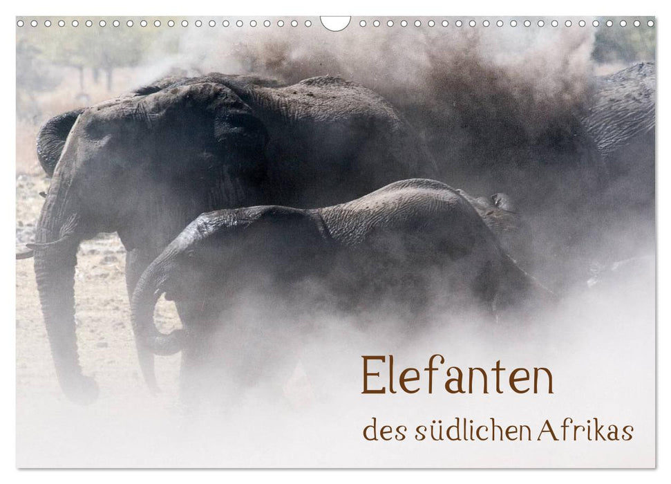 Elefanten des südlichen Afrikas (CALVENDO Wandkalender 2026)