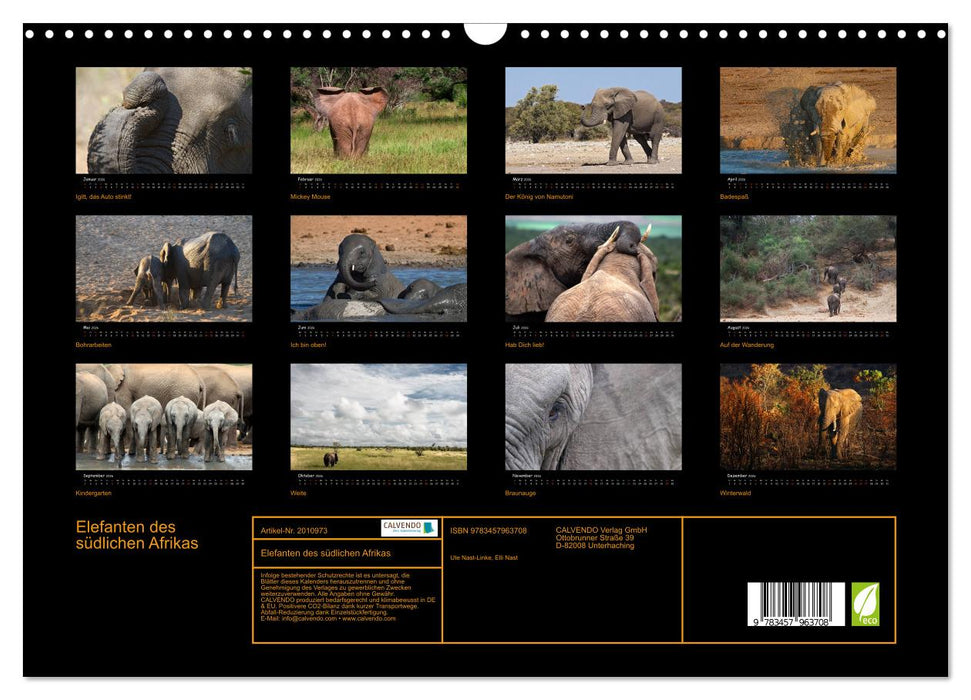 Elefanten des südlichen Afrikas (CALVENDO Wandkalender 2026)