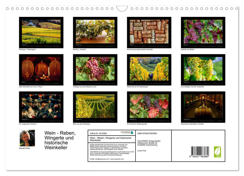 Wein - Reben, Wingerte und historische Weinkeller (CALVENDO Wandkalender 2026)