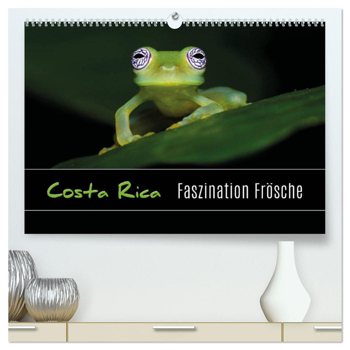Costa Rica - Faszination Frösche (CALVENDO Premium Wandkalender 2026)
