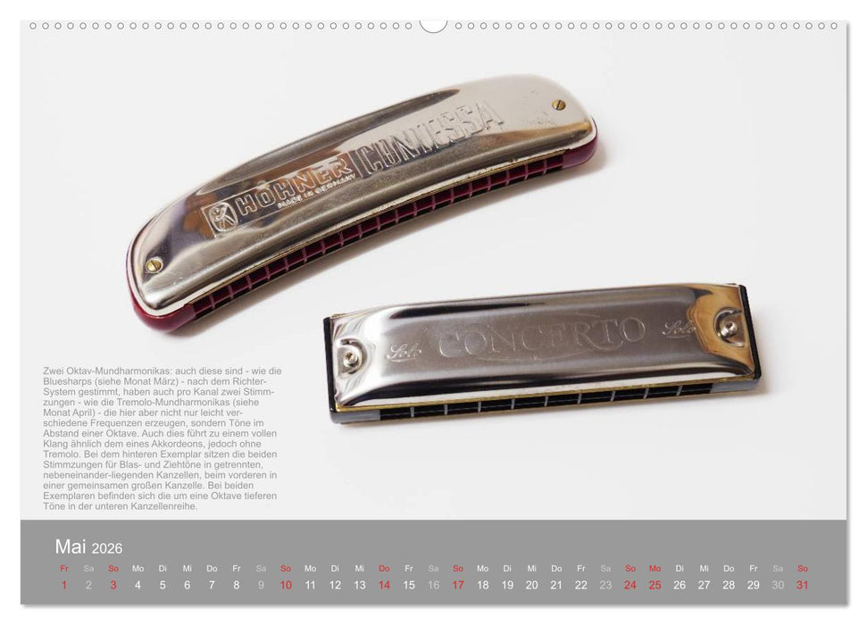 Mundharmonikas im Blickpunkt (CALVENDO Premium Wandkalender 2026)