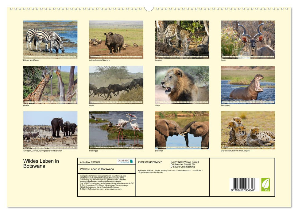 Wildes Leben in Botswana (CALVENDO Premium Wandkalender 2026)