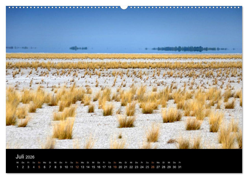 Namibia: Ein Traum von sanftem Licht und unendlicher Weite (CALVENDO Premium Wandkalender 2026)