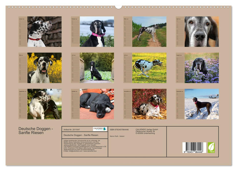 Deutsche Doggen - Sanfte Riesen (CALVENDO Premium Wandkalender 2026)