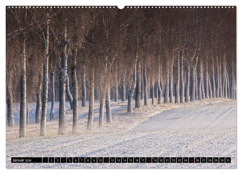 Entschleunigung - Zeit zum Durchatmen (CALVENDO Premium Wandkalender 2026)