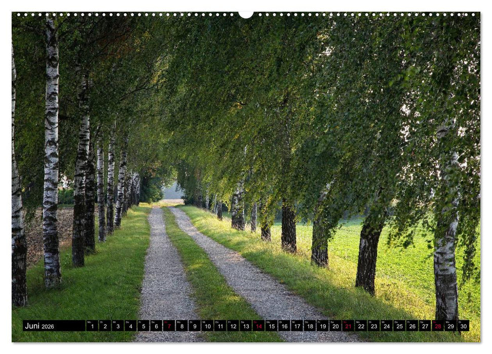 Entschleunigung - Zeit zum Durchatmen (CALVENDO Premium Wandkalender 2026)