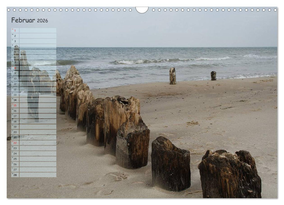 Rund um Kühlungsborn (CALVENDO Wandkalender 2026)