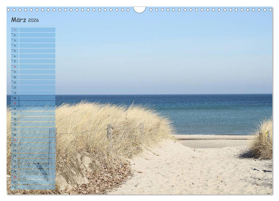 Rund um Kühlungsborn (CALVENDO Wandkalender 2026)