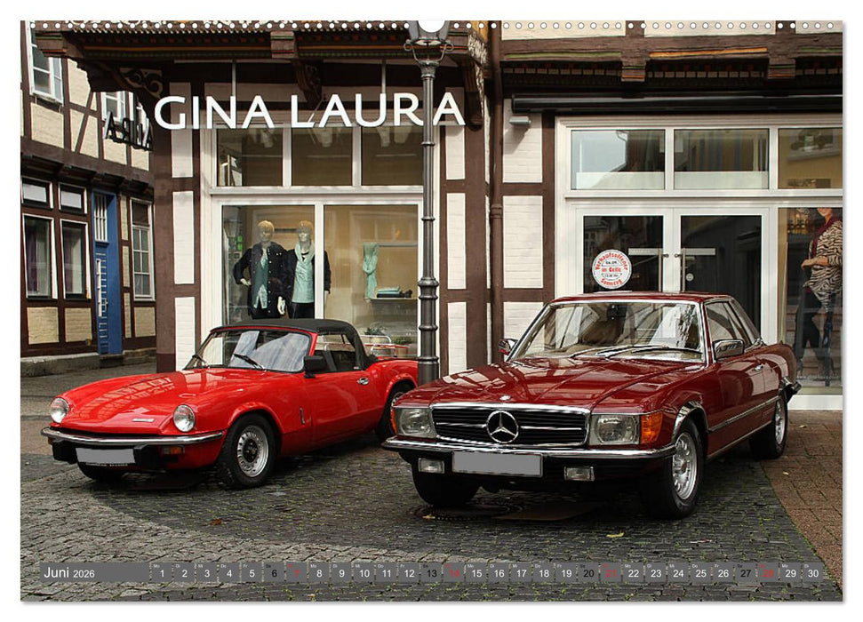 Mercedes Benz - Edle Schätzchen (CALVENDO Wandkalender 2026)